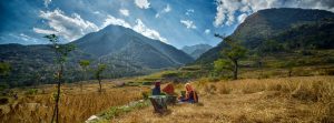 Lee más sobre el artículo 11 de diciembre – Día Internacional de las Montañas