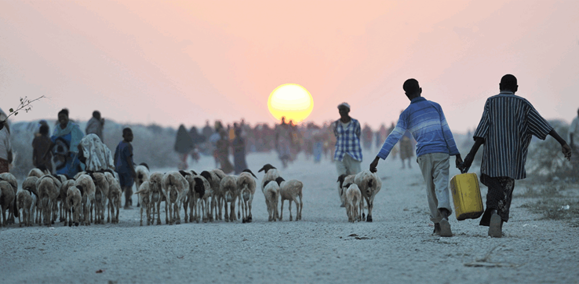 22 de marzo – Día Mundial del Agua