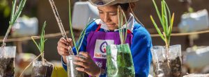 Lee más sobre el artículo 22 de abril – Día Internacional de la Madre Tierra