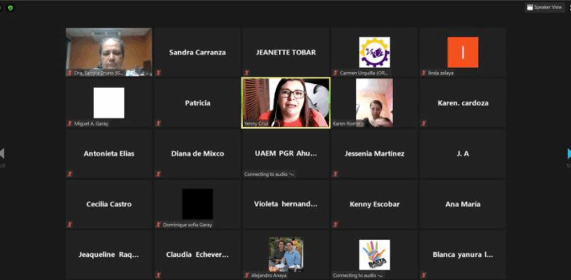 PGR y ORMUSA realizaron conversatorio virtual sobre Riesgos sanitarios para las mujeres ante el COVID-19