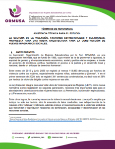 Lee más sobre el artículo TDR ESTUDIO CULTURA DE LA VIOLACION 1a. Convocatoria