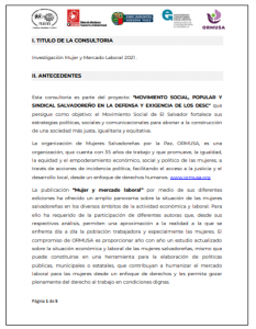 Lee más sobre el artículo TDR investigación Mujer y mercado laboral 2021