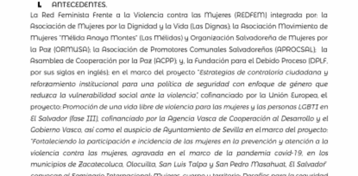 TDR Sistematización de seminario 2021