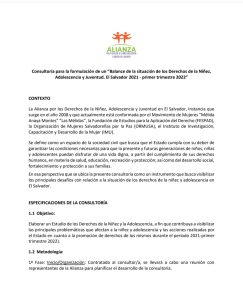 Lee más sobre el artículo TDR -«Consultoría para la formulación de un “Balance de la situación de los Derechos de la Niñez, Adolescencia y Juventud. El Salvador 2021 – primer trimestre 2022»