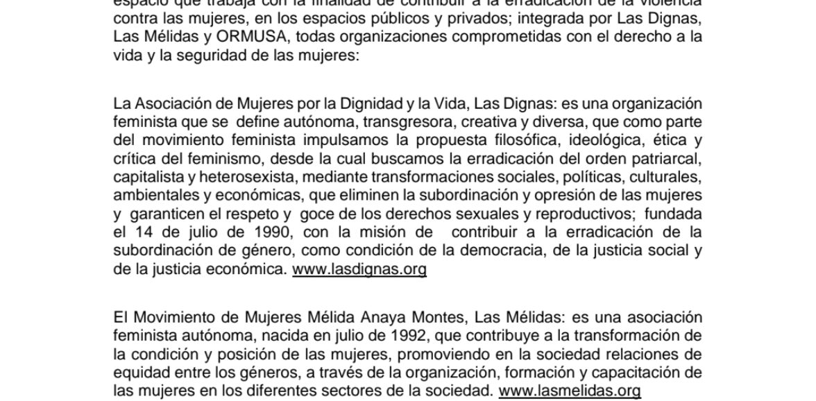 CONSULTORIA PARA ELABORACIÓN DE INFORME DE LA SITUACIÓN DE VIOLENCIA CONTRA LAS MUJERES INCLUYENDO UN APARTADO DE LA SITUACIÓN DE LAS MUJERES CON DISCAPACIDAD