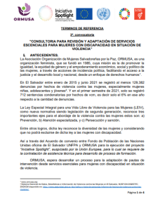 Lee más sobre el artículo CONSULTORIA PARA REVISIÓN Y ADAPTACIÓN DE SERVICIOS ESCENCIALES PARA MUJERES CON DISCAPACIDAD EN SITUACIÒN DE VIOLENCIA