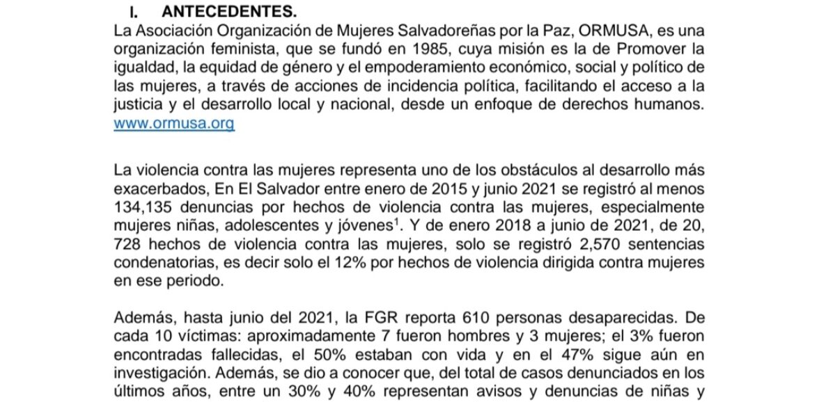 Asistencia técnica para elaboración de protocolo de seguridad y protecciónorganizaciones de defensa de derechos humanos