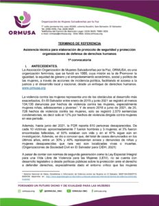 Lee más sobre el artículo Asistencia técnica para elaboración de protocolo de seguridad y protección<br>organizaciones de defensa de derechos humanos