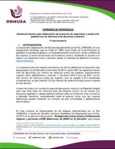 Lee mĆ”s sobre el artĆculo Asistencia tĆ©cnica para elaboración de protocolo de seguridad, y protección<br>plataformas de defensorĆa de derechos humanos