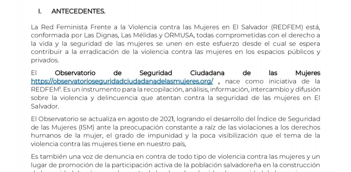 Asistencia técnica para levantamiento y actualización de datos e indicadores del observatorio de seguridad ciudadana de las mujeres de la REDFEM a través de monitoreos social sobre políticas, servicios, de atención o auxilio a mujeres víctimas, utilizando nuevas tecnologías para mejorar la protección de las víctimas