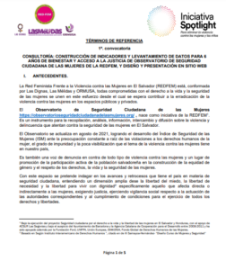 Lee más sobre el artículo CONSULTORÍA: CONSTRUCCIÓN DE INDICADORES Y LEVANTAMIENTO DE DATOS PARA 6<br>AÑOS DE BIENESTAR Y ACCESO A LA JUSTICIA DE OBSERVATORIO DE SEGURIDAD<br>CIUDADANA DE LAS MUJERES DE LA REDFEM, Y DISEÑO Y PRESENTACIÓN EN SITIO WEB