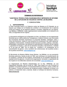 Lee más sobre el artículo Asistencia técnica para diagramación e impresión de informe de la situación de violencia contra las mujeres