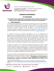 Lee más sobre el artículo Consultoría para elaboración de estudio sobre situación actual de las mujeres como defensoras de derechos humanos en El Salvador