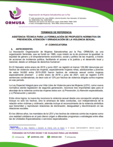 Lee más sobre el artículo Asistencia técnica para formulación de propuesta normativa en prevención, atención y erradicación de la violencia sexual