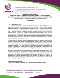 Lee más sobre el artículo Asistencia técnica para estudio sobre normas y procesos para búsqueda de personas desparecidas especialmente mujeres, niñez y adolescencia y población LGBTIQ+ en El Salvador