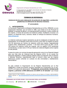 Lee más sobre el artículo Asistencia técnica para elaboración de protocolo de seguridad y protección organizaciones de defensa de derechos humanos  2a convocatoria
