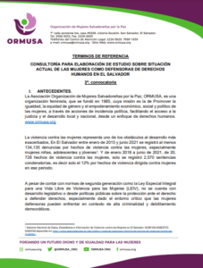 Lee más sobre el artículo Consultoría para la elaboración de estudio sobre situación actual de las mujeres como defensora de derechos humanos en EL Salvador