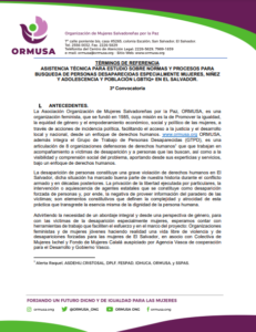 Lee más sobre el artículo Asistencia técnica para estudio sobre normas y procesos para búsqueda de personas desaparecidas especialmente mujeres, niñez y adolescencia y población LGTBIQ+ en El Salvador