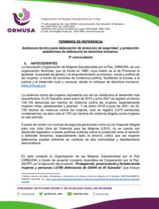 Lee más sobre el artículo Asistencia técnica para elaboración de protocolo de seguridad, y protección plataformas de defensoría de derechos humanos