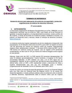 Lee más sobre el artículo Asistencia técnica para elaboración de protocolo de seguridad y protección organizaciones de defensa de derechos humanos