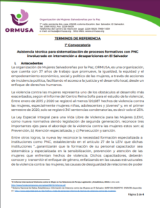 Lee más sobre el artículo TDR – Asistencia técnica para sistematización de procesos formativos con PNC involucrado en  intervención a desapariciones en El Salvador