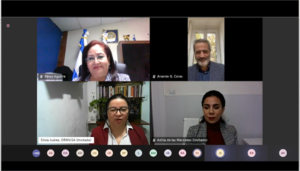 Lee más sobre el artículo ORMUSA, CICAM, CDM y el CNJ realizaron webinario: aspectos probatorios en delitos contra la libertad sexual