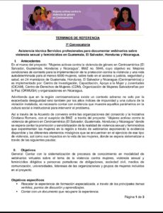 Lee más sobre el artículo Asistencia técnica Servicios profesionales para documentar webinarios sobre violencia sexual y feminicidios en Guatemala, El Salvador, Honduras y Nicaragua