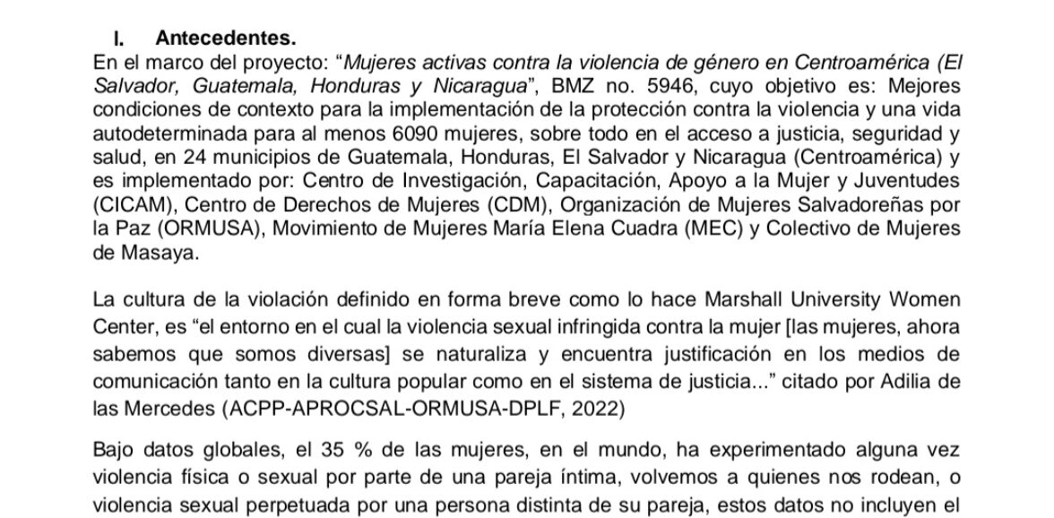 Asistencia técnica en informática  para actividades virtuales en el marco del proyecto: Mujeres activas contra la violencia de género en Centroamérica   (El Salvador, Guatemala, Honduras y Nicargaua).