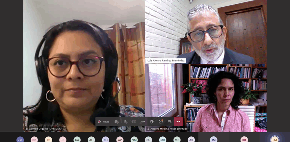 ORMUSA y CNJ realizaron webinario: reparación del daño en materia laboral desde la perspectiva de género