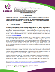 Lee más sobre el artículo Asistencia técnica para revisión y seguimiento metodológico de procesos formativos de personal de procuraduría general de la república y personal policial en delitos de violencia contra las mujeres