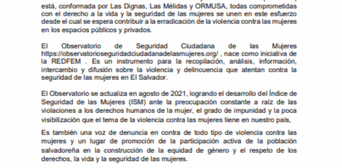 Asistencia técnica para pautación y espacios publicitarios en redes sociales