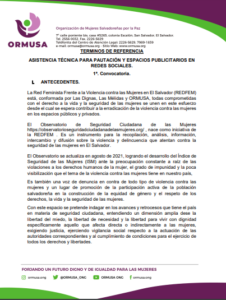 Lee más sobre el artículo Asistencia técnica para pautación y espacios publicitarios en redes sociales