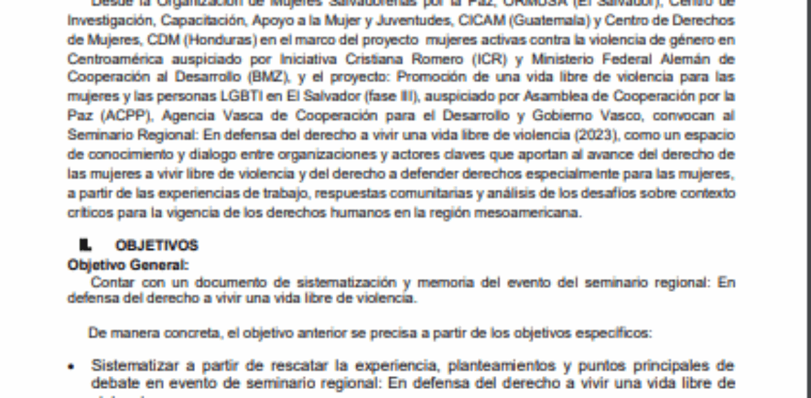 TDR – Sistematización y elaboración de memoria del seminario regional: En defensa del derecho a vivir una vida libre de violencia