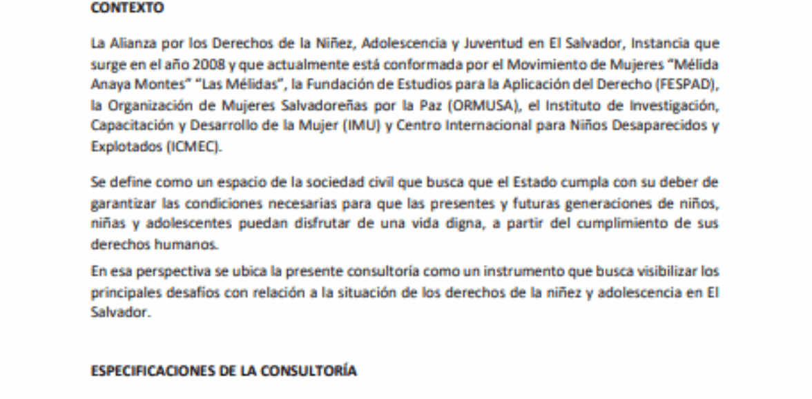 TDR Consultoría para la formulación de un “Balance de la situación de los Derechos de la Niñez, Adolescencia y Juventud. El Salvador 2022 – primer trimestre 2023”