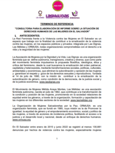 Lee más sobre el artículo Consultoría para la elaboración de informe sobre la situación derechos humanos de las mujeres en El Salvador