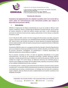 Lee más sobre el artículo Parámetros de implementación de la Opinión Consultiva 24/17 de la Corte IDH en cuatro países de centroamericana como instrumento jurídico para mejorar el desarrollo de las personas LGBTIQ