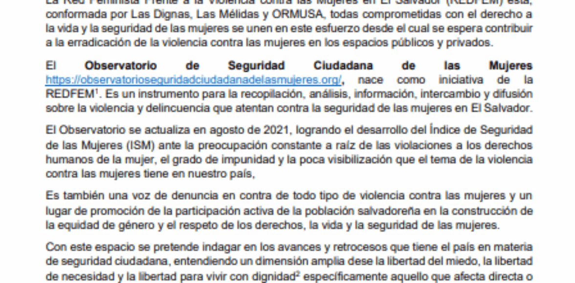Construcción de indicadores y levantamiento de datos para observatorios de seguridad ciudadana de las mujeres de la REDFEM, diseño y presentación en sitio web