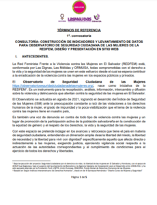 Lee más sobre el artículo Construcción de indicadores y levantamiento de datos para observatorios de seguridad ciudadana de las mujeres de la REDFEM, diseño y presentación en sitio web