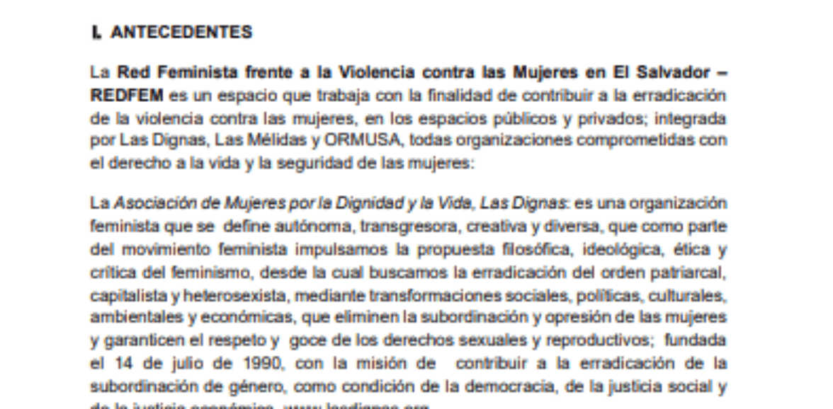 Consultoría para organizar, coordinar  y sistematizar el pre encuentro rumbo al 15 EFLAC y el seminario sobre violencias contra las mujeres