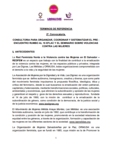 Lee más sobre el artículo Consultoría para organizar, coordinar y sistematizar el pre encuentro rumbo al 15 EFLAC y el seminario sobre violencias contra las mujeres