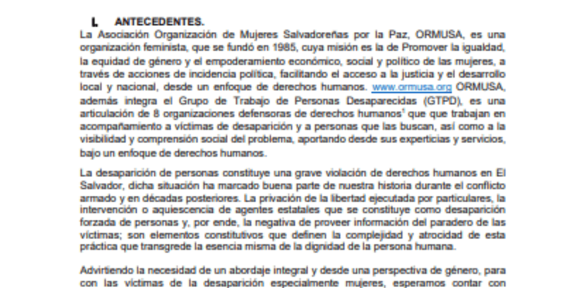 Asistencia técnica para sistematización, elaboración de memoria y declaración de las organizaciones participantes en el seminario internacional memoria y verdad