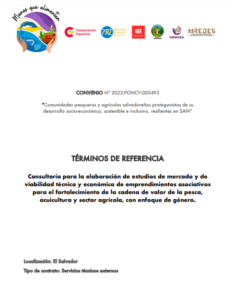 Lee más sobre el artículo Consultoría para la elaboración de estudios de mercado y de viabilidad técnica y económica de emprendimientos asociativos para el fortalecimiento de la cadena de valor de la pesca, acuicultura y sector agrícola, con enfoque de género