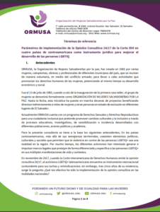 Lee más sobre el artículo Parámetros de implementación de la Opinión Consultiva 24/17 de la Corte IDH encuatro países de centroamericana como instrumento jurídico para mejorar eldesarrollo de las personas LGBTIQ
