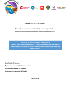 Lee más sobre el artículo Análisis de la situación de violencia ejercida contra mujeres pescadoras artesanales y acuícolas con énfasis en los Derechos Sexuales y Derechos Reproductivos.