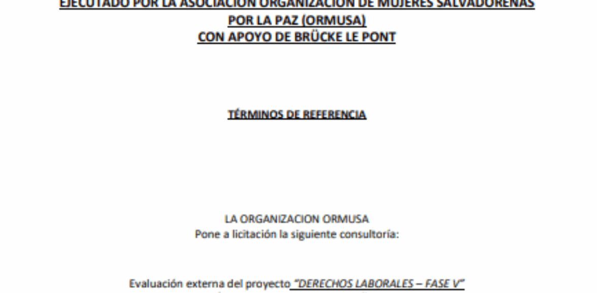 Consultoría evaluación externa de proyecto ejecutado por la asociación organización de mujeres salvadoreñas por la paz (ORMUSA)