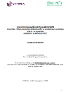 Lee más sobre el artículo Consultoría evaluación externa de proyecto ejecutado por la asociación organización de mujeres salvadoreñas por la paz (ORMUSA)