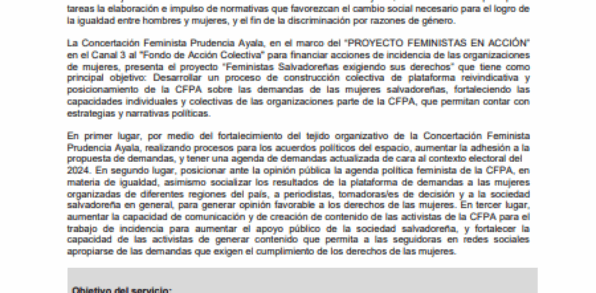 2da convocatoria : Servicios profesionales para sistematización del proceso de creación de la Concertación Feminista Prudencia Ayala, y proceso de socialización de la plataforma.