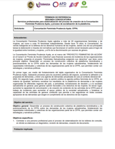 Lee más sobre el artículo 2da convocatoria : Servicios profesionales para sistematización del proceso de creación de la Concertación Feminista Prudencia Ayala, y proceso de socialización de la plataforma.