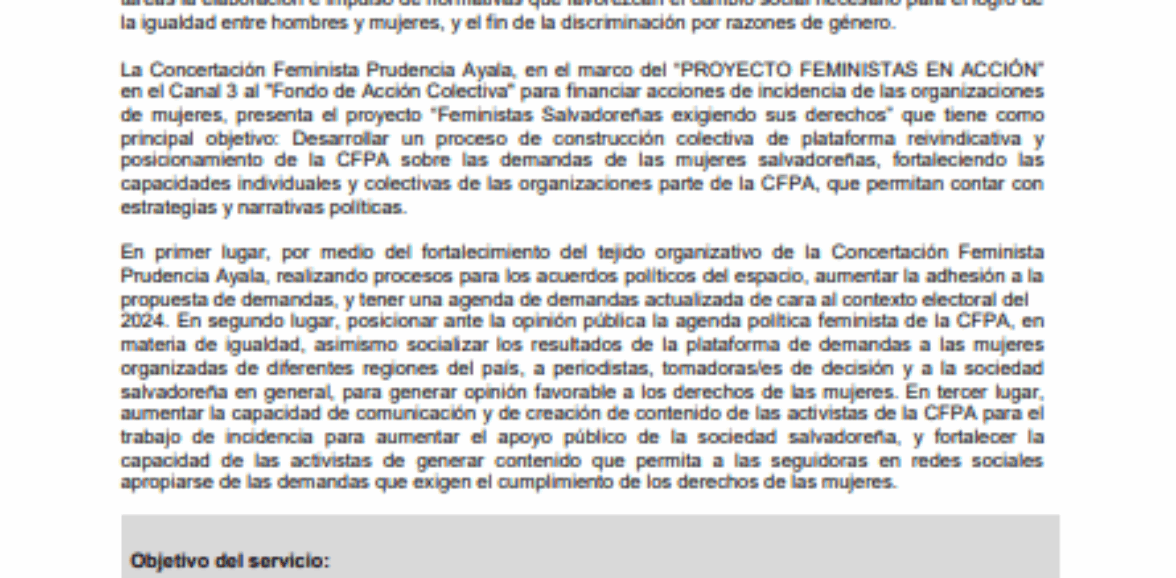 Servicios profesionales para sistematización del proceso de creación de la Concertación Feminista Prudencia Ayala, y proceso de socialización de la plataforma