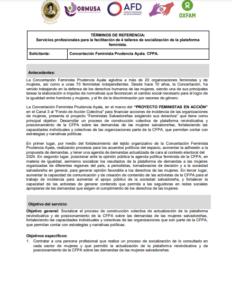 Lee más sobre el artículo Servicios profesionales para la facilitación de 4 talleres de socialización de la plataforma feminista.